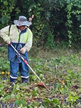 팜모닝 고구마·영농일지 게시글 이미지