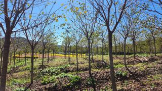 정진우님의 기타작물 · 영농일지 작성글 사진