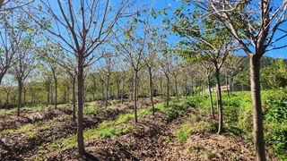 정진우님의 기타작물 · 영농일지 작성글 사진