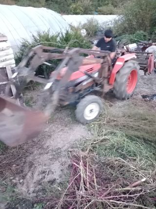 자기왕사랑해님의 고구마 · 영농일지 작성글 사진