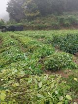 팜모닝 자유주제·자유게시판 게시글 이미지