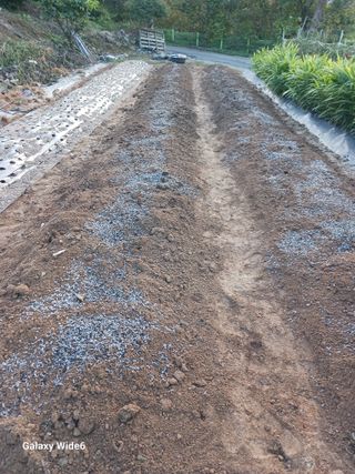 덕촌님의 파 · 영농일지 작성글 사진