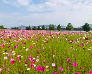 호박12769님의 자유주제 · 자유게시판 작성글 사진