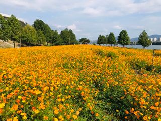 호박12769님의 자유주제 · 자유게시판 작성글 사진