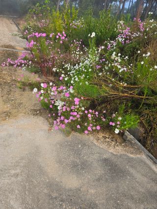자연인님의 자유주제 · 자유게시판 작성글 사진