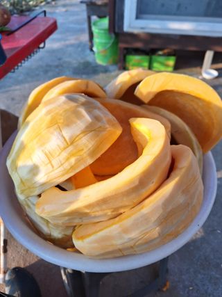 정희군님의 배추 · 영농일지 작성글 사진