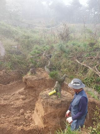 작은소나무님의 자유주제 · 자유게시판 작성글 사진