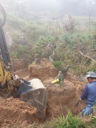 작은소나무님의 자유주제 · 자유게시판 작성글 사진