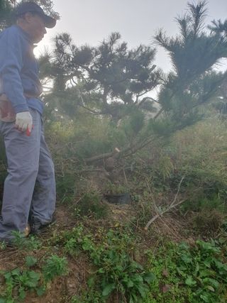 작은소나무님의 자유주제 · 자유게시판 작성글 사진