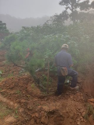 작은소나무님의 자유주제 · 자유게시판 작성글 사진