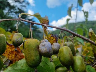 팜모닝회원 정정섭 님의 자유주제 · 자유게시판 작성글 사진