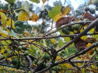 팜모닝회원 정정섭 님의 자유주제 · 자유게시판 작성글 사진