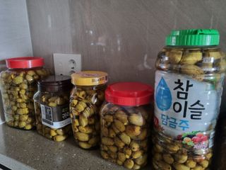 팜모닝회원 정정섭 님의 자유주제 · 자유게시판 작성글 사진