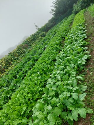 차만석님의 자유주제 · 자유게시판 작성글 사진