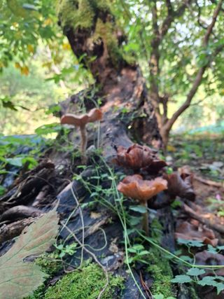 박정미님의 자유주제 · 자유게시판 작성글 사진