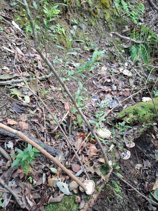 박정미님의 자유주제 · 자유게시판 작성글 사진