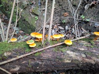 박정미님의 자유주제 · 자유게시판 작성글 사진