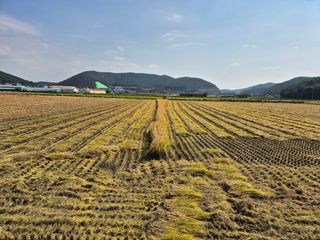 곰새끼님의 벼 · 영농일지 작성글 사진
