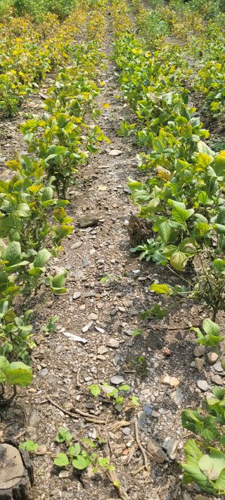 김창렬님의 [팜춘문예] 짧은 시 쓰기| 2024 · 참여글 작성글 사진