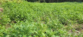 김창렬님의 [팜춘문예] 짧은 시 쓰기| 2024 · 참여글 작성글 사진