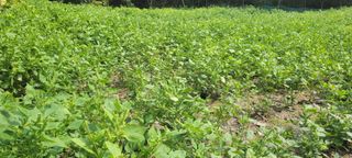 김창렬님의 [팜춘문예] 짧은 시 쓰기| 2024 · 참여글 작성글 사진