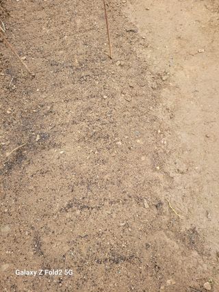 최덕병님의 마늘 · 영농일지 작성글 사진