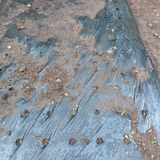 팜모닝 자유주제·자유게시판 게시글 이미지