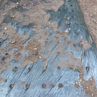 소농인님의 자유주제 · 자유게시판 작성글 사진