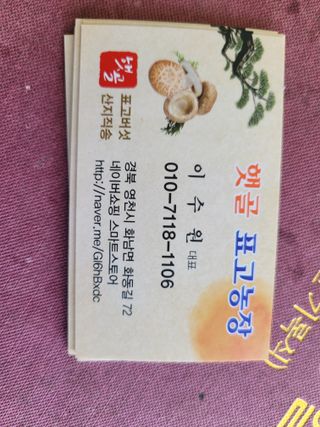 햇골표고님의 자유주제 · 사진전 작성글 사진