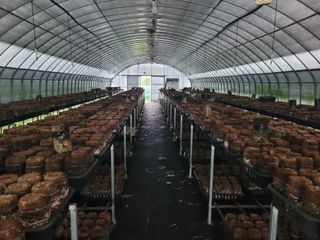 햇골표고님의 자유주제 · 사진전 작성글 사진