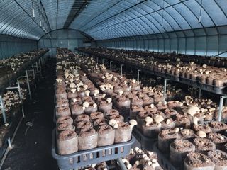 햇골표고님의 자유주제 · 사진전 작성글 사진