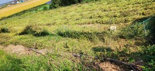 품질좋은농산물생산님의 [팜춘문예] 짧은 시 쓰기| 2024 · 참여글 작성글 사진