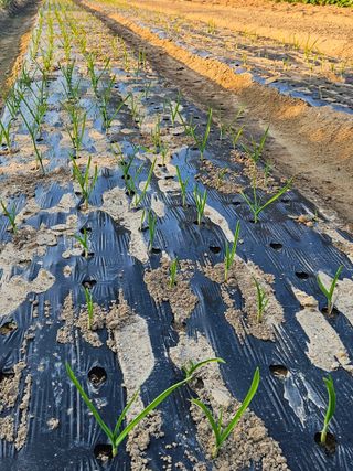 osm님의 자유주제 · 자유게시판 작성글 사진