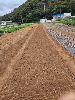 osm님의 자유주제 · 자유게시판 작성글 사진