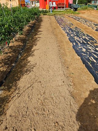 osm님의 자유주제 · 자유게시판 작성글 사진