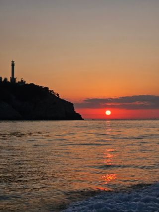 최원석님의 [팜춘문예] 짧은 시 쓰기| 2024 · 참여글 작성글 사진