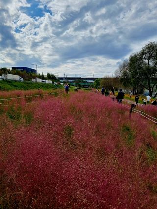 최원석님의 [팜춘문예] 짧은 시 쓰기| 2024 · 참여글 작성글 사진