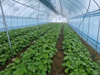 최종범님의 작성글 사진