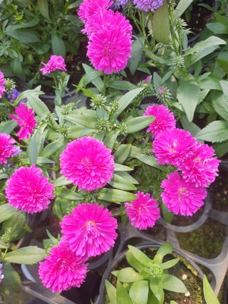 안비님의 자유주제 · 사진전 작성글 사진