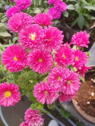 안비님의 자유주제 · 사진전 작성글 사진