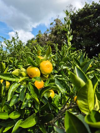 노창래님의 자유주제 · 자유게시판 작성글 사진