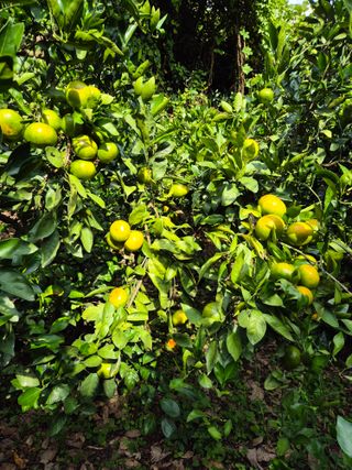 노창래님의 자유주제 · 자유게시판 작성글 사진