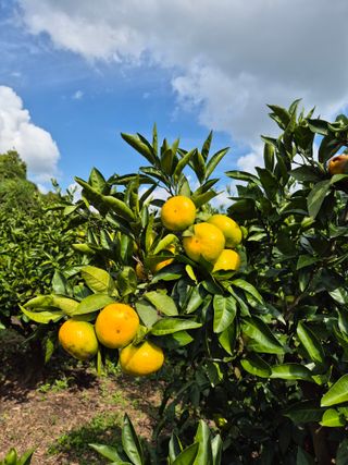 노창래님의 자유주제 · 자유게시판 작성글 사진