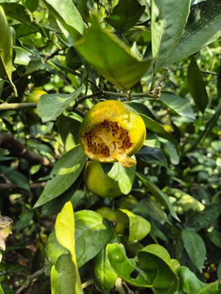 노창래님의 자유주제 · 자유게시판 작성글 사진