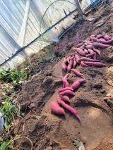 팜모닝 농기구 관리법을 공유해주세요·참여글 게시글 이미지