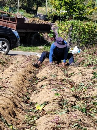 최유진님의 농기구 관리법을 공유해주세요 · 참여글 작성글 사진
