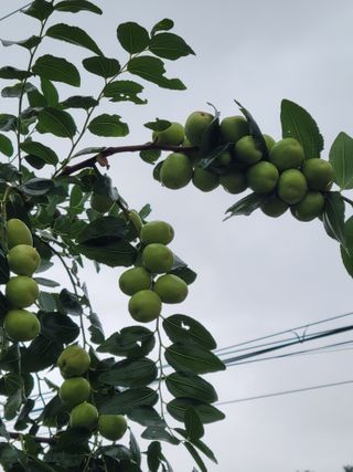 최유진님의 농기구 관리법을 공유해주세요 · 참여글 작성글 사진