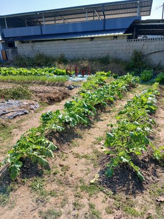 귤21231님의 자유주제 · 자유게시판 작성글 사진