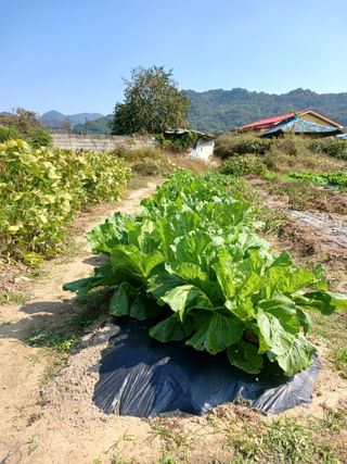 귤21231님의 자유주제 · 자유게시판 작성글 사진