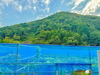 농부손녀님의 자유주제 · 자유게시판 작성글 사진